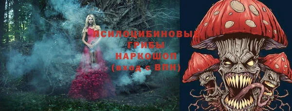 гидра Новозыбков
