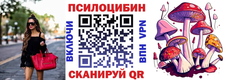 Псилоцибиновые грибы мицелий  где купить наркотик  MEGA вход  Нарьян-Мар 