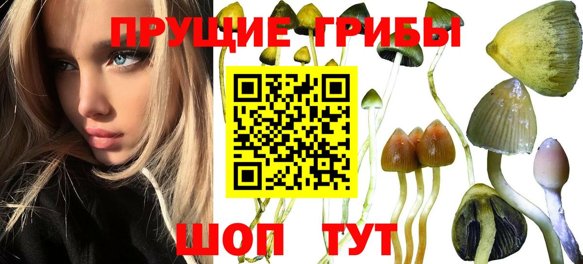 Галлюциногенные грибы мицелий Нарьян-Мар